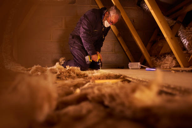 Best Insulation Removal  in Parchment, MI